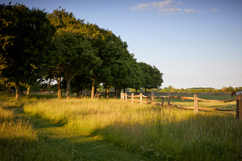 The Organic Cotswolds: Garden & Farm Experience