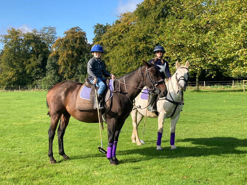 Private Cotswold Polo Session