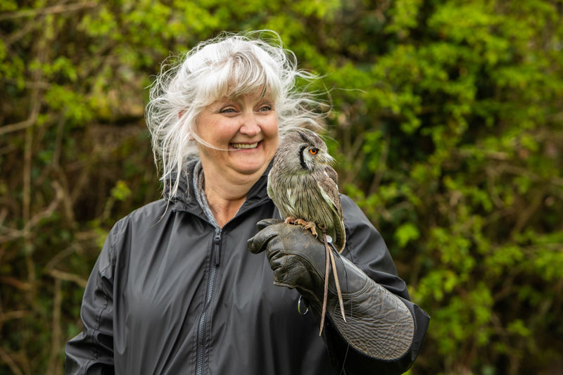 Exclusive Cotswolds Falconry Experience