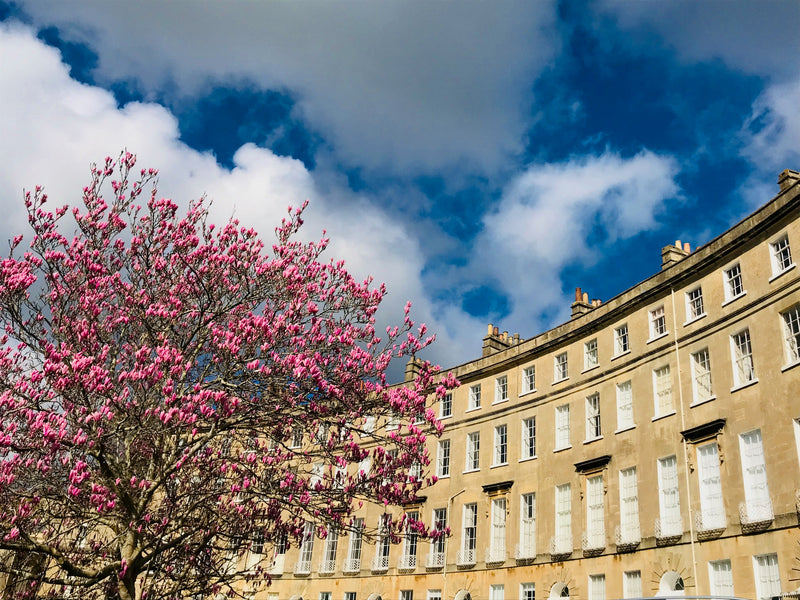 Jane Austen Tour of Bath, Chawton & Winchester