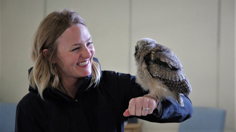 The Bath Hawk & Owl Experience