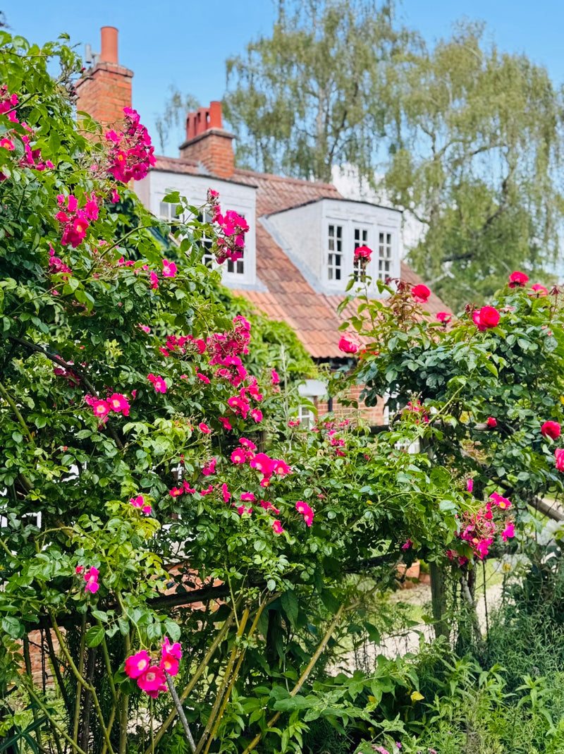 Oxford & C.S. Lewis Home