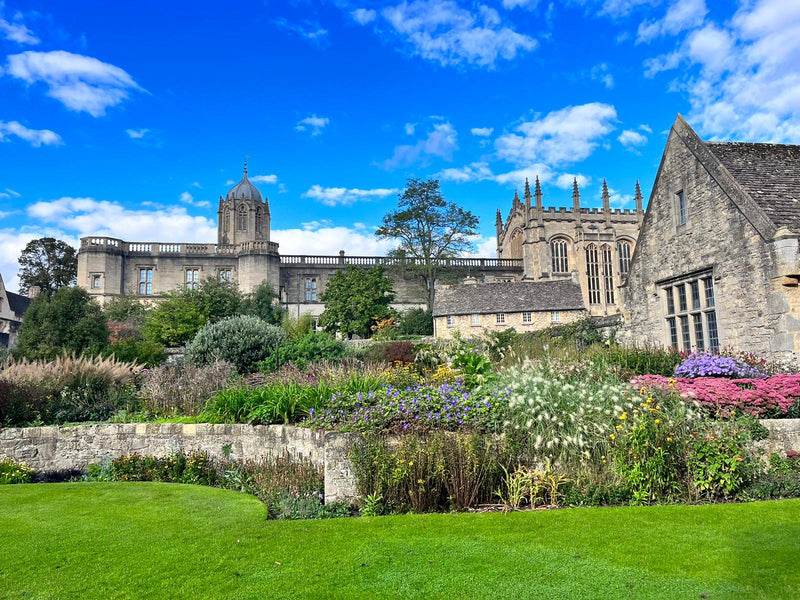 Sheepdog Experience & Oxford University Tour