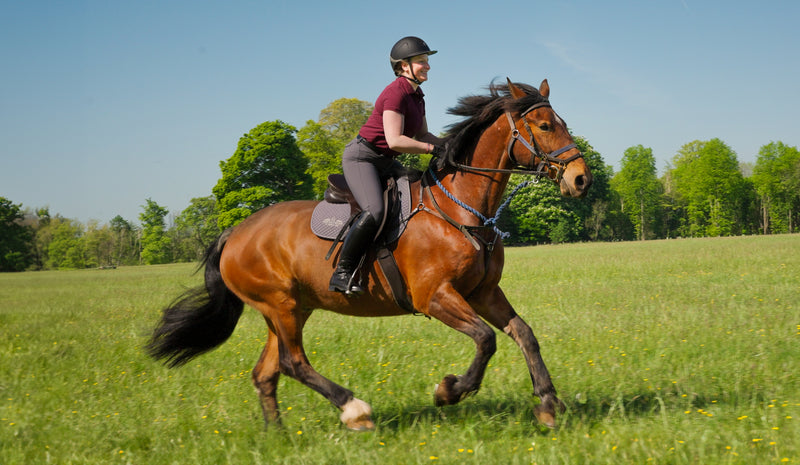 South Cotswolds Horse Riding & Afternoon Tea Experience