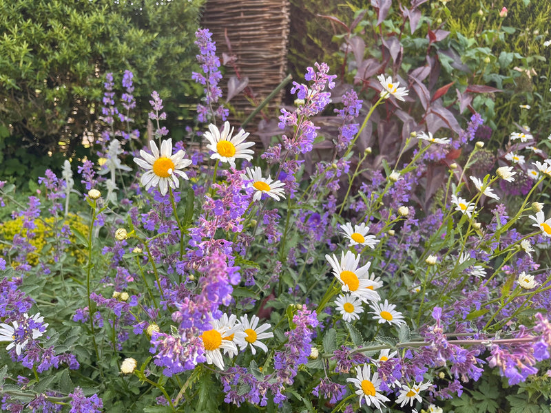 3 Hidden Gardens – A Private Cotswold Experience