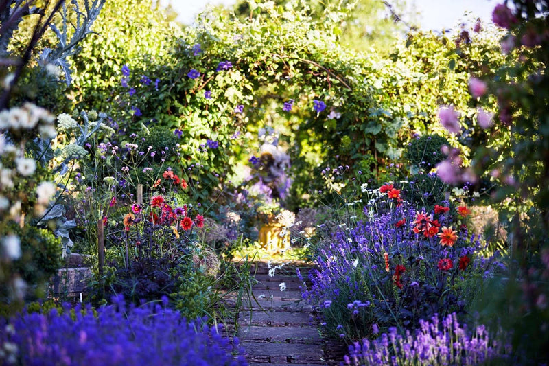 The Organic Cotswolds: Garden & Farm Experience