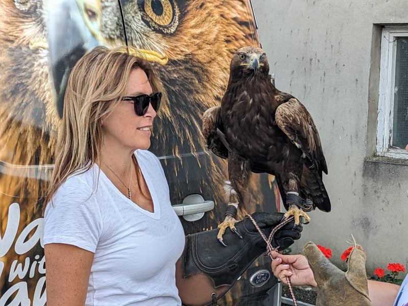 Exclusive Cotswolds Falconry Experience