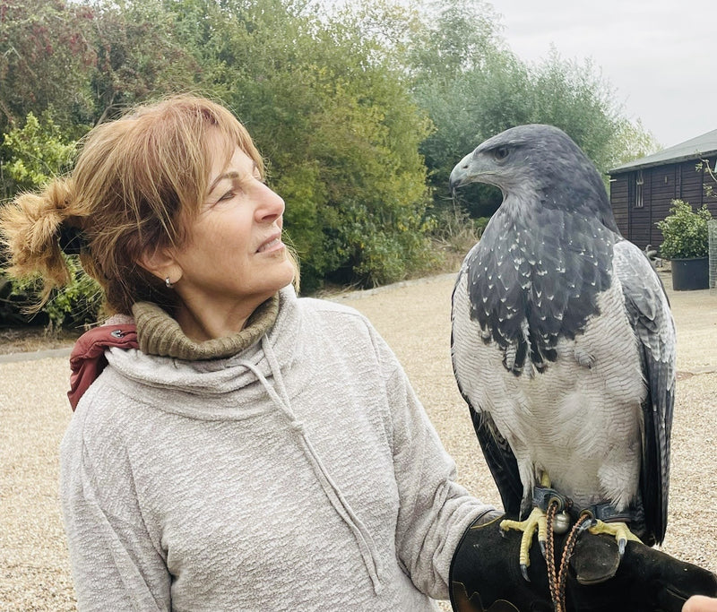 Exclusive Cotswolds Falconry Experience