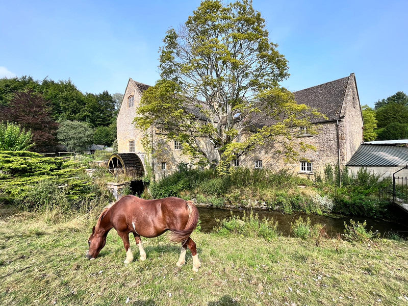 Private Horseback Riding Experience in the Cotswolds