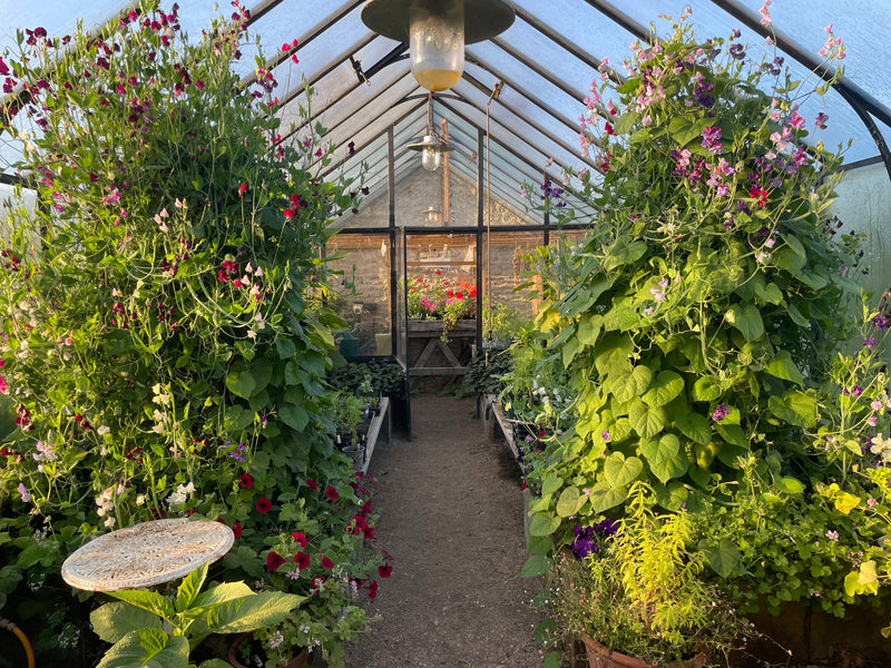 Secret Garden and Tea Escape near the World of Downton Abbey