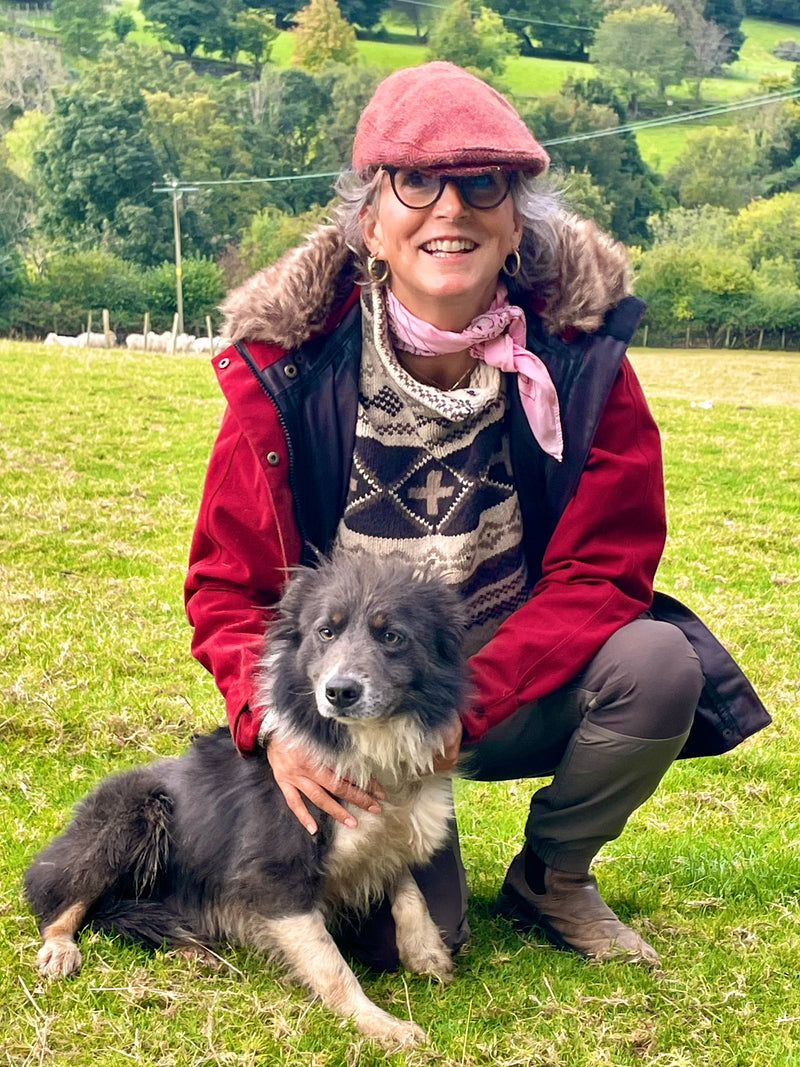 North Wales Sheepdog Demo & Snowdonia Tour