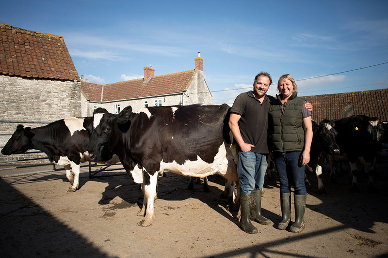 Bath Organic Dairy Farm & Milk Tasting