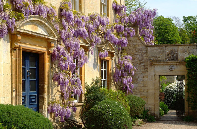 3 Hidden Gardens – A Private Cotswold Experience