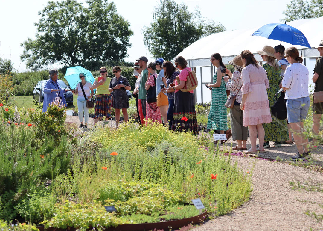 UK’s Finest Herb Farm Tour & English Countryside