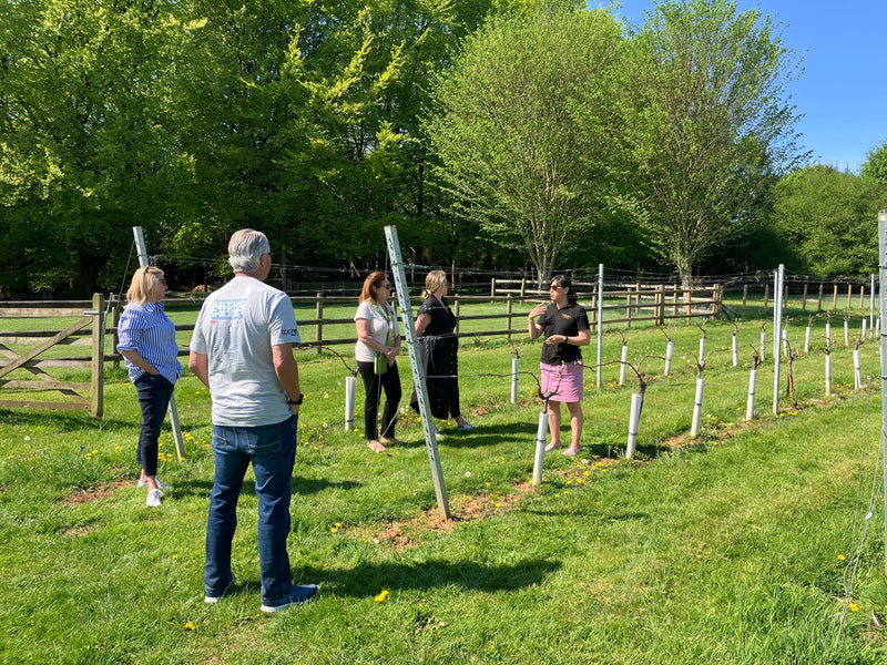 Cotswold Vineyard Tour & Tasting