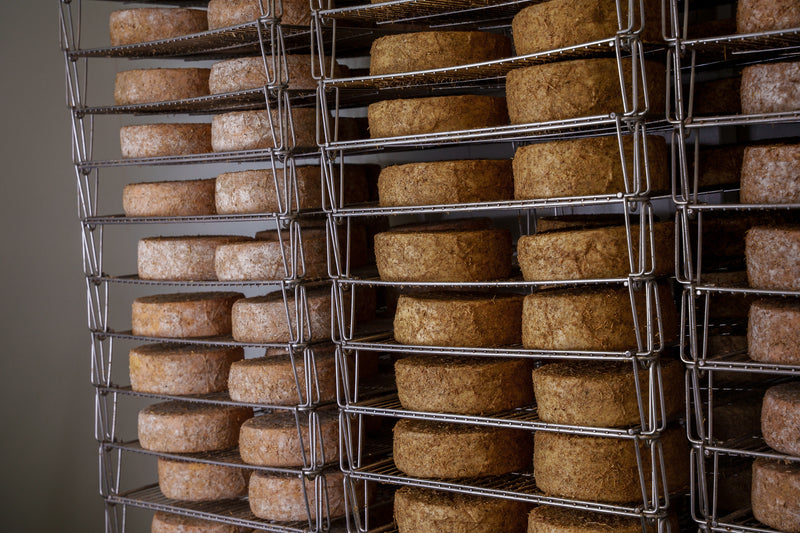 Organic Cheese & Dairy Tour – A Farm-to-Table Tasting on the Route Between London & Oxford