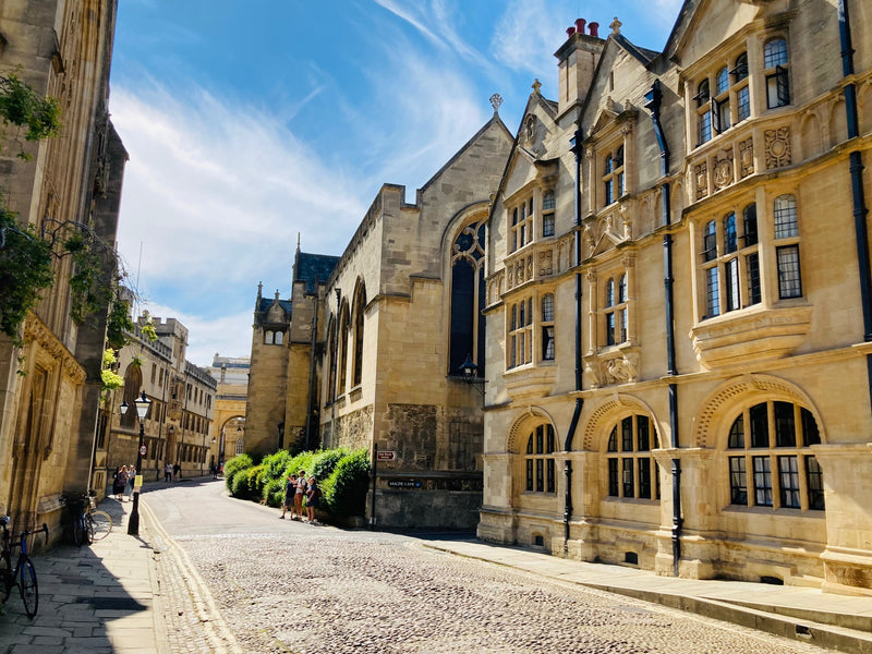 Sheepdog Experience & Oxford University Tour