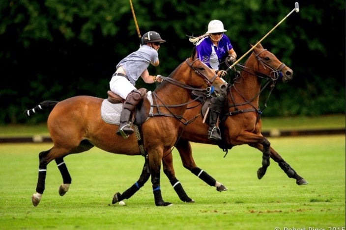 Private Cotswold Polo Session