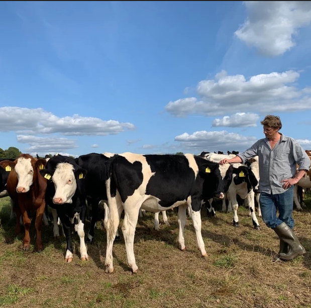 Organic Cheese & Dairy Tour – A Farm-to-Table Tasting on the Route Between London & Oxford