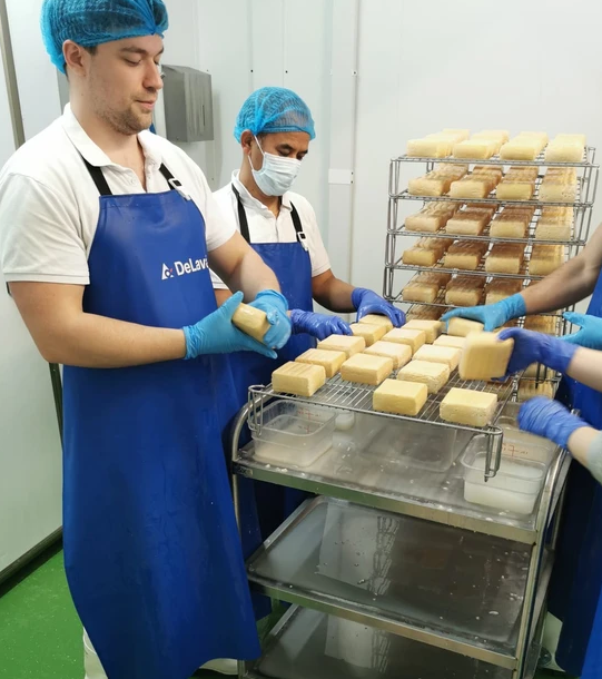 Organic Cheese & Dairy Tour – A Farm-to-Table Tasting on the Route Between London & Oxford