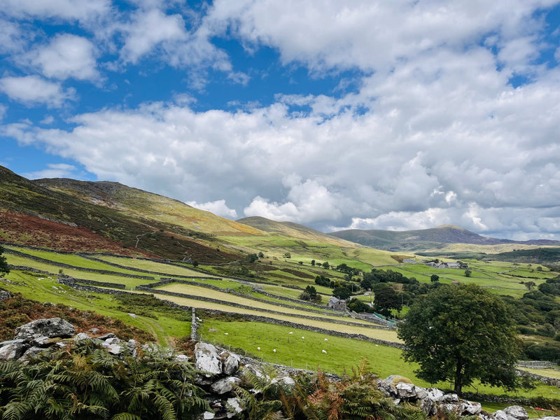 Discover Snowdonia