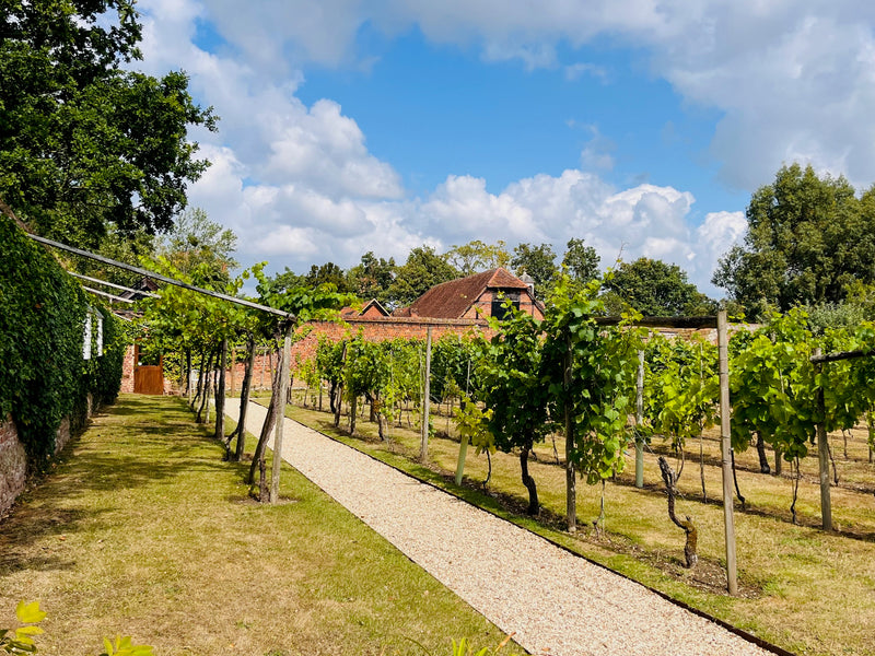 Private Wine & Cheese Tour Near London: English Flavors Experience