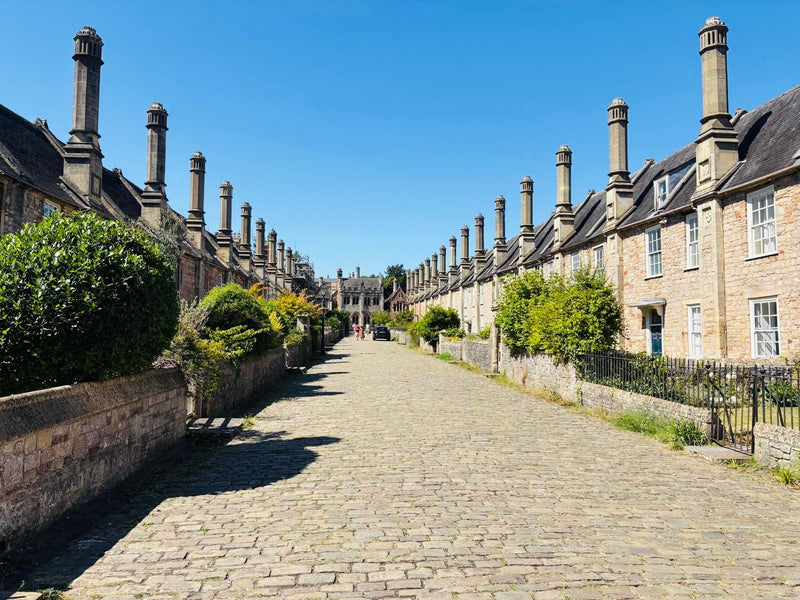 Wells, Glastonbury & Cheddar Gorge Tour