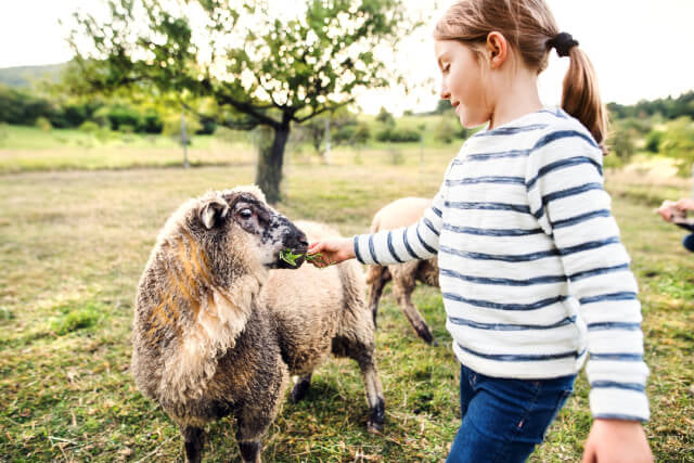 Exclusive Cotswold Farm Experience