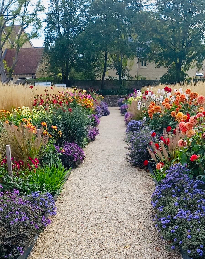 3 Hidden Gardens – A Private Cotswold Experience
