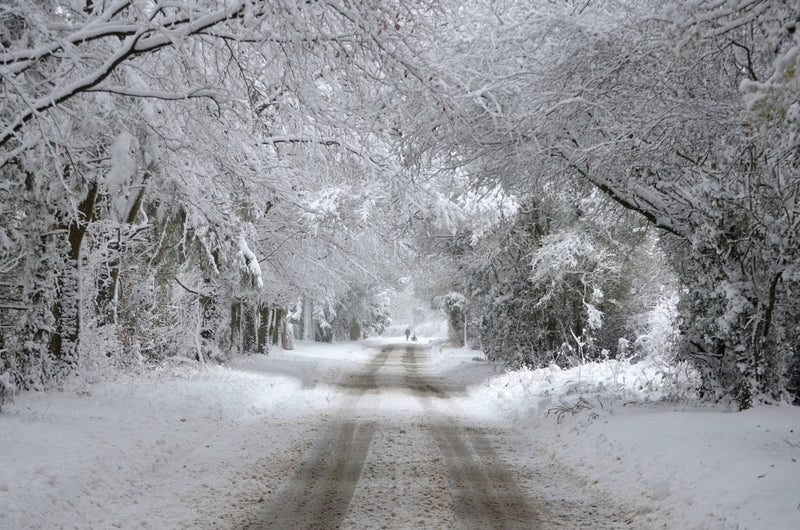 Cotswold Winter Traditions