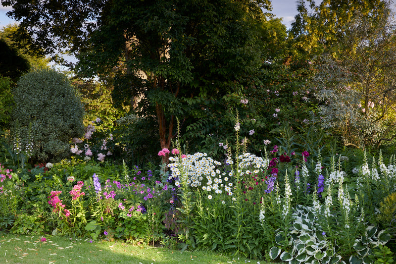 The Organic Cotswolds: Garden & Farm Experience