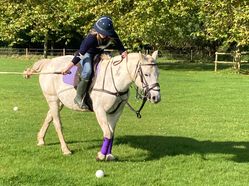 Private Cotswold Polo Session