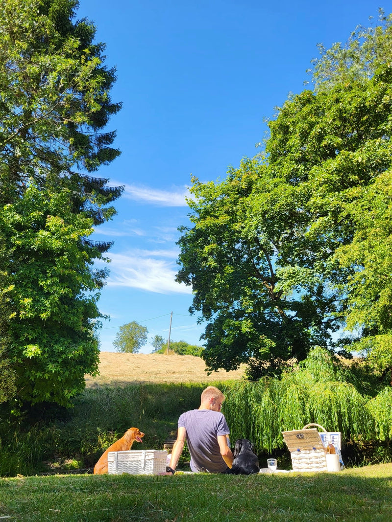 The Great British Picnic Experience