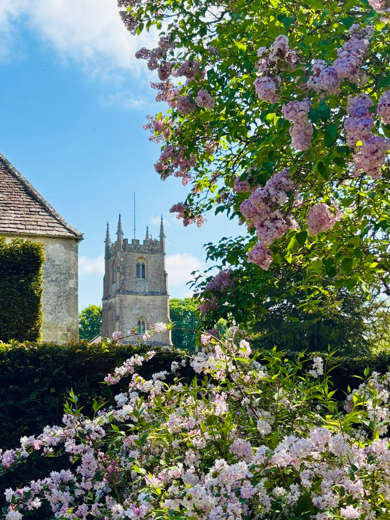 Avebury & Salisbury