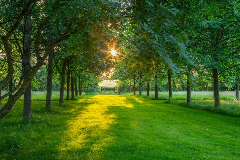 Cotswold Private Garden Tour