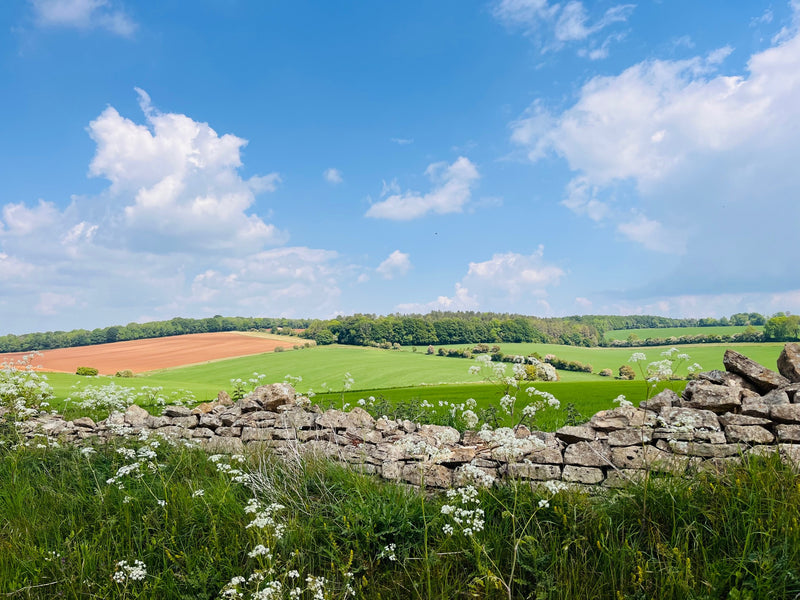A Cotswold Day to Remember