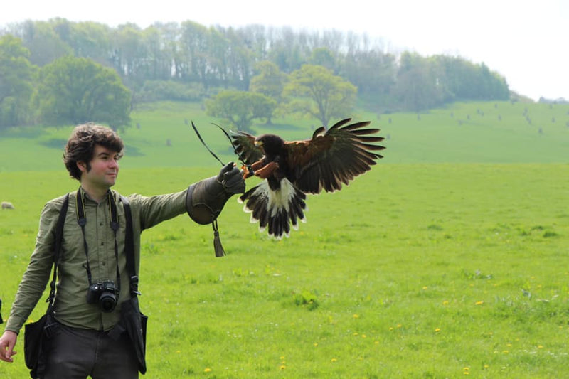 The Bath Hawk & Owl Experience