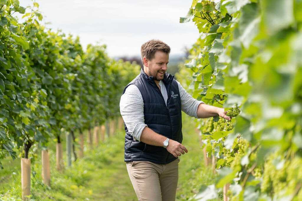 Sip & Stroll: English Sparkling Wine Tour