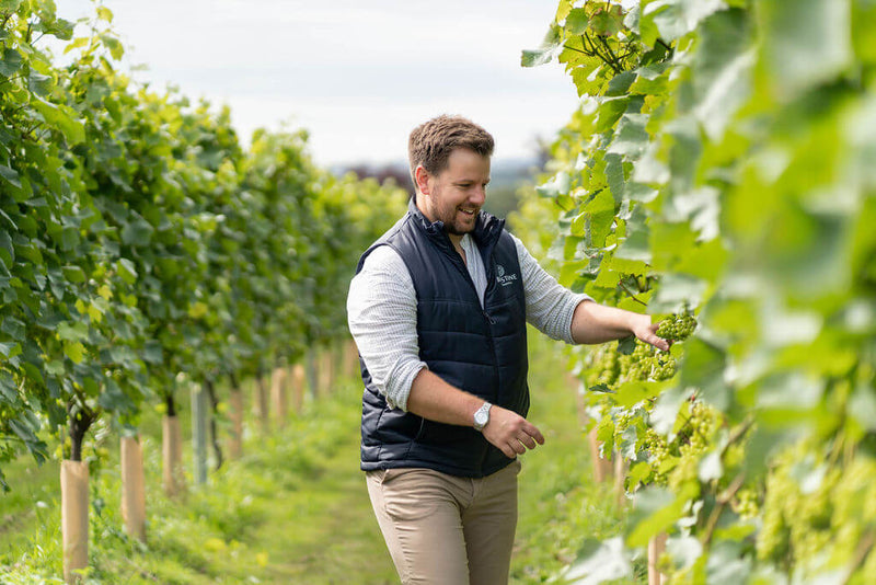 Sip & Stroll: English Sparkling Wine Tour