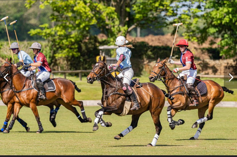Private Cotswold Polo Session