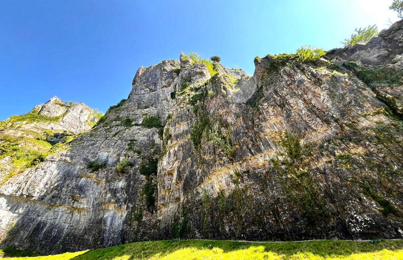 Wells, Glastonbury & Cheddar Gorge Tour