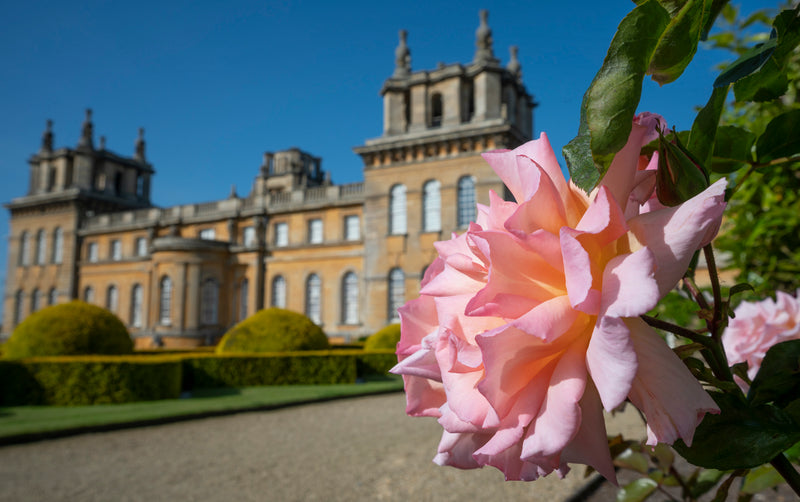 Cotswolds & Blenheim Palace