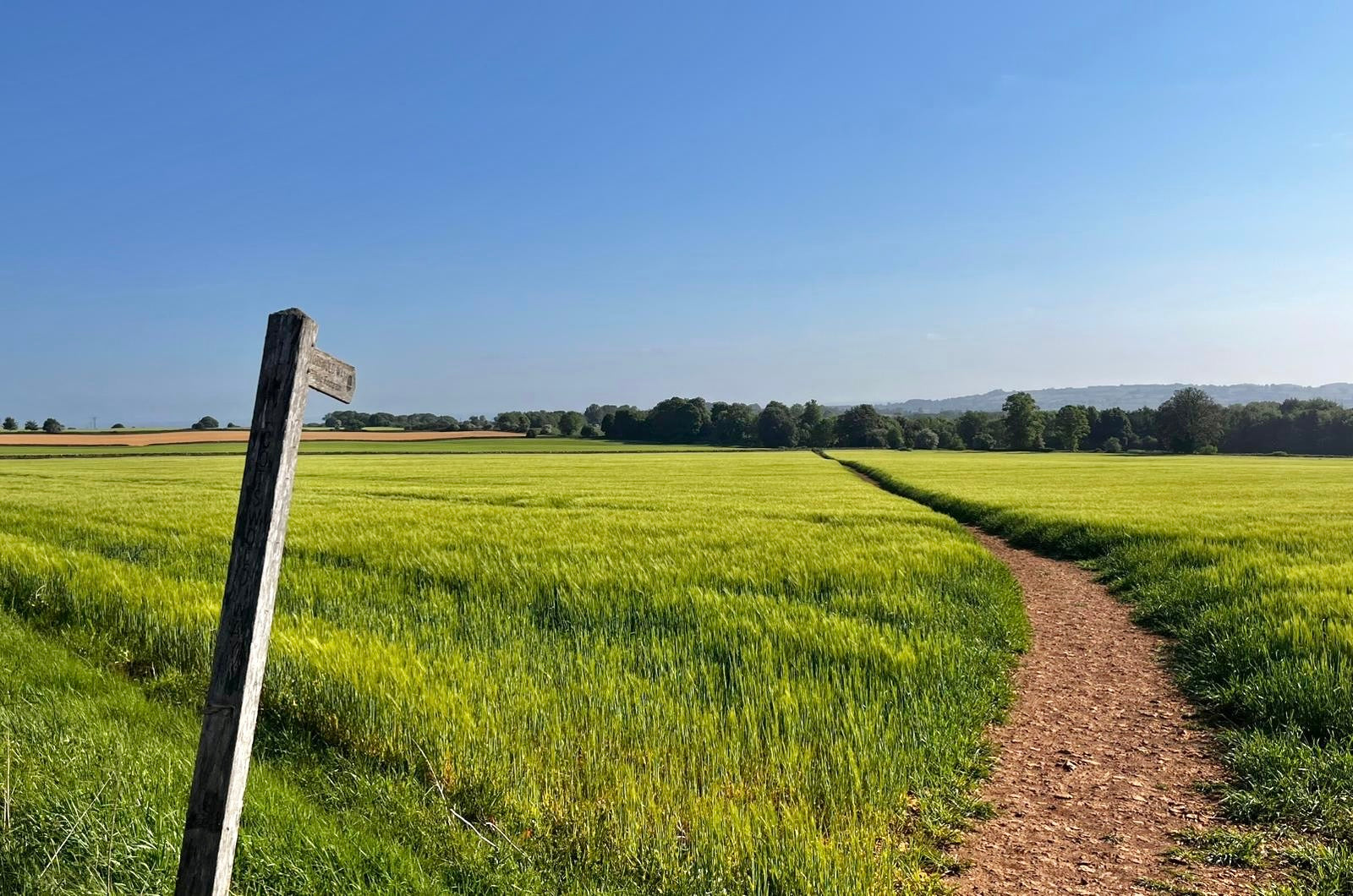 Footpaths & Foodie Finds