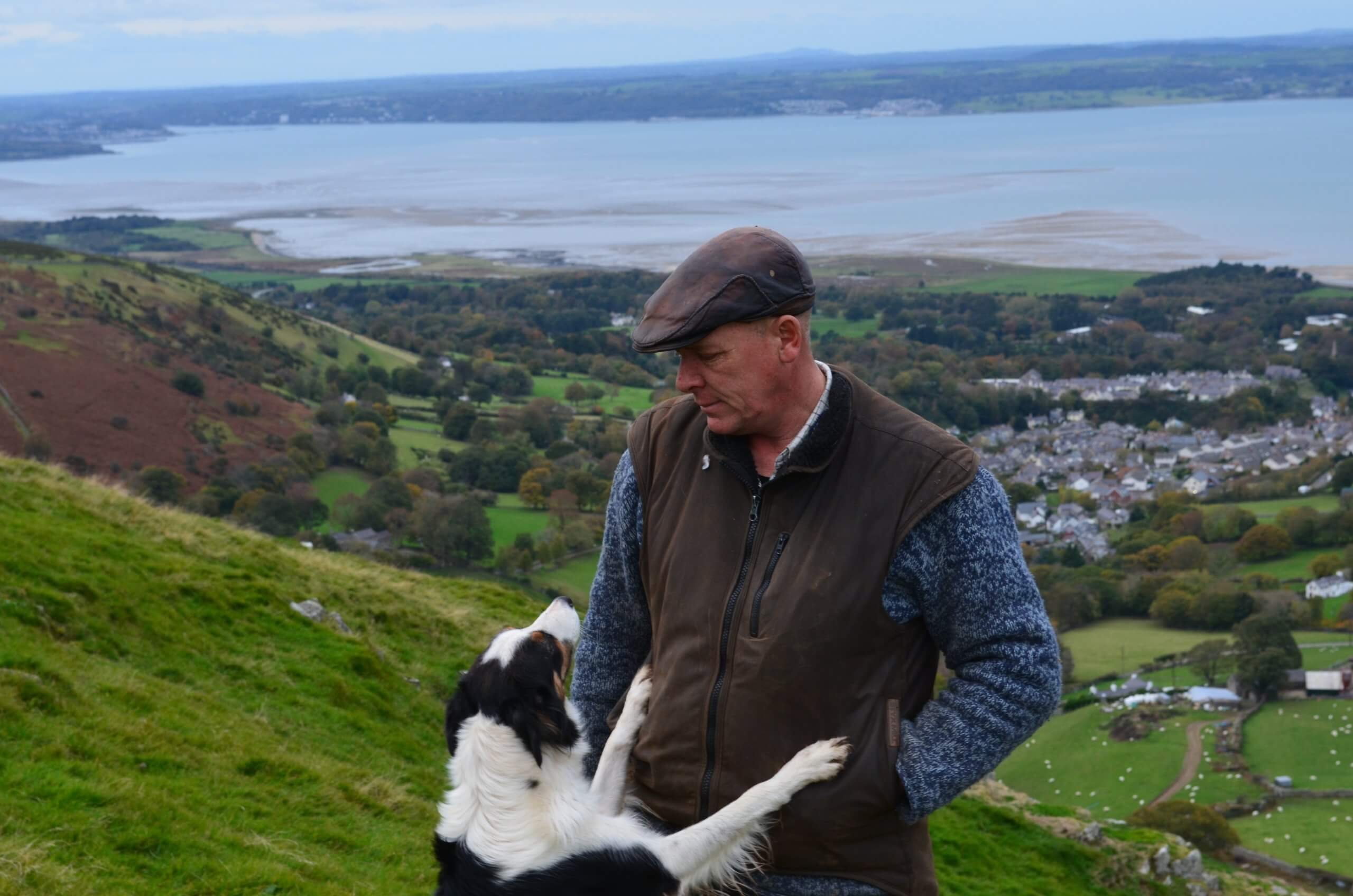 North Wales Sheepdog Demo & Snowdonia Tour