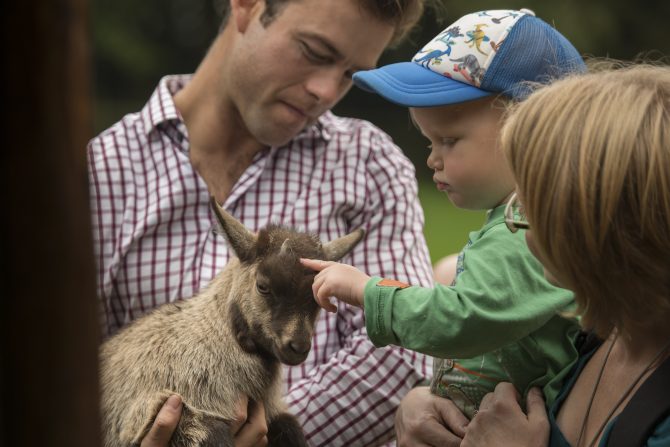 Exclusive Cotswold Farm Experience