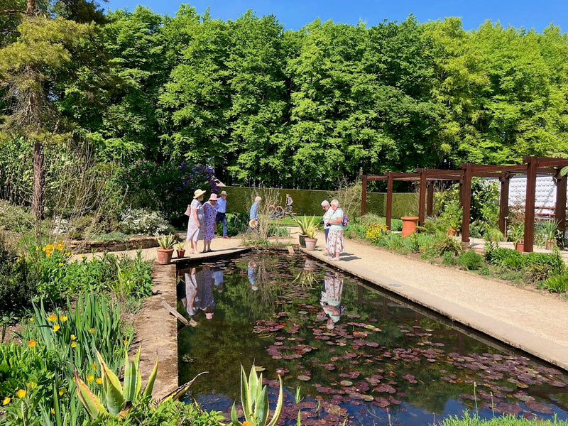 Cotswold Castle & Cotswold Cream Tea