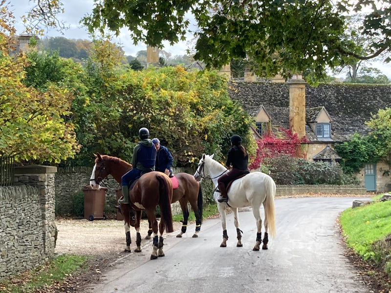 Private Horseback Riding Experience in the Cotswolds