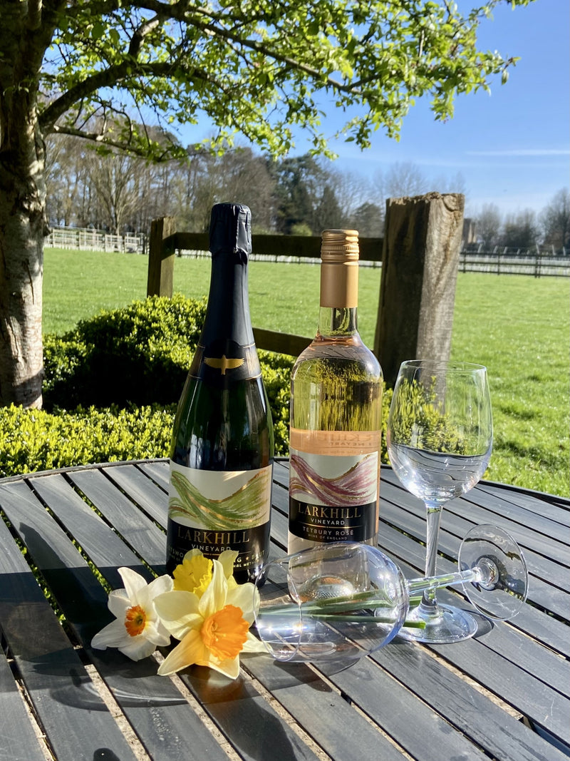 Cotswold Vineyard Tour & Tasting