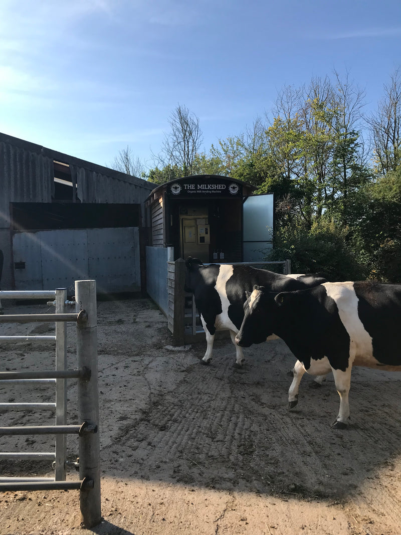 Bath Organic Dairy Farm & Milk Tasting