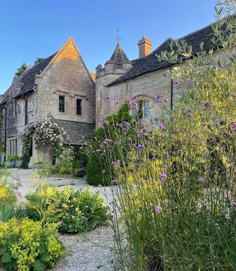 Secret Garden and Tea Escape near the World of Downton Abbey